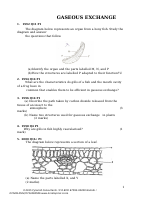 gaseous exchange.docx